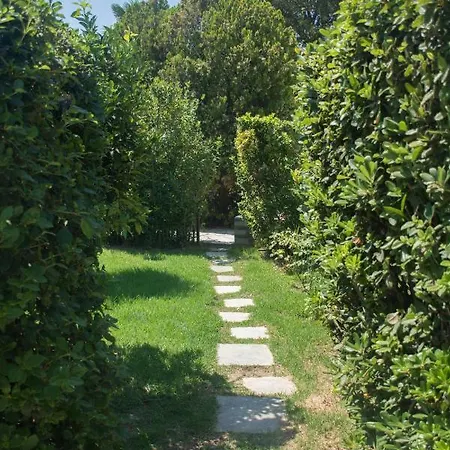 Romantic Seafront Studio - Dream Garden * Platanidia