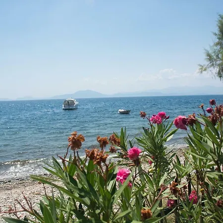 Romantic Seafront Studio - Dream Garden Tatil Evi