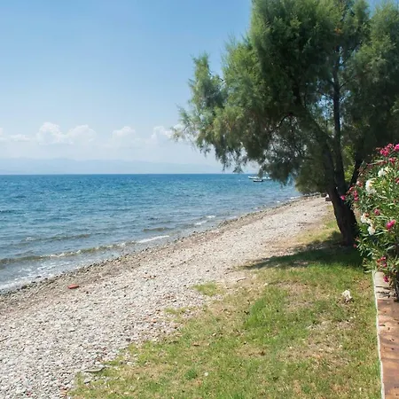 Romantic Seafront Studio - Dream Garden * Platanidia