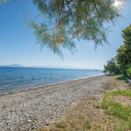 Romantic Seafront Studio - Dream Garden Platanidia