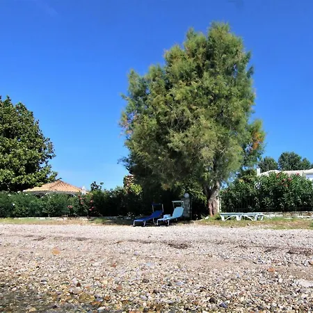 Tatil Evi Romantic Seafront Studio - Dream Garden